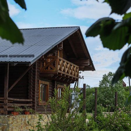 Сottage "Ksenija" Котедж "Ксенія" Skole Exterior photo